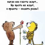Медведь дарит цветок тигру