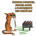 Кот жарит шашлыки на мангале