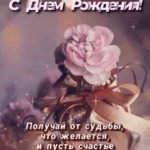 Розовый цветок