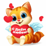 Рыжий котик с сердечком