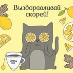 Серый кот с чашкой чая