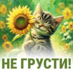 Котик с подсолнухом