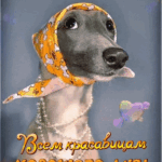 Собака в косынке