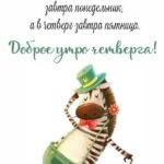 Зебра в шляпе