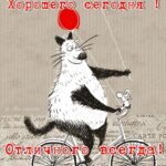 Кот на велосипеде