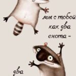 Два енота