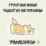 Собачка