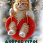 Рыжий котенок на качелях