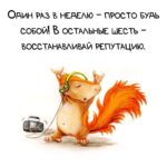 Белка с плеером