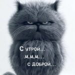 Грозный черный кот