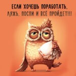 Заспанная сова