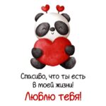 Панда с сердцем