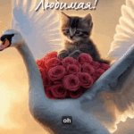 Котик с розами на лебеде