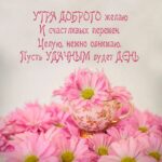 Розовые цветы