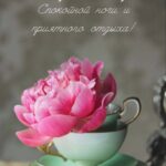 Цветок в чаше