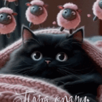 Черный котик и барашки
