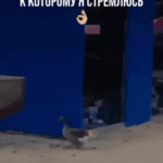Горящий гусь